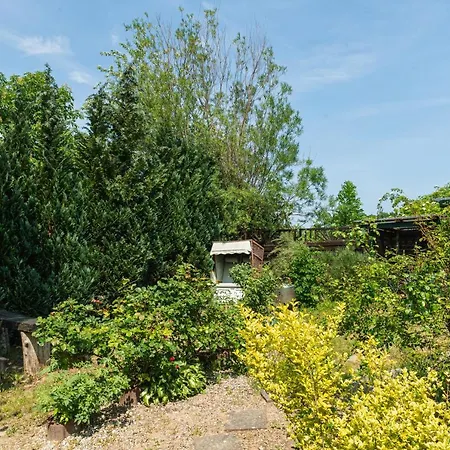 1 Mittendrin Apartment Lancken-Granitz