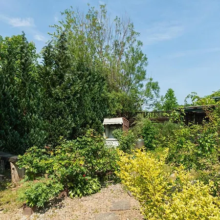 1 Mittendrin Apartmán Lancken-Granitz